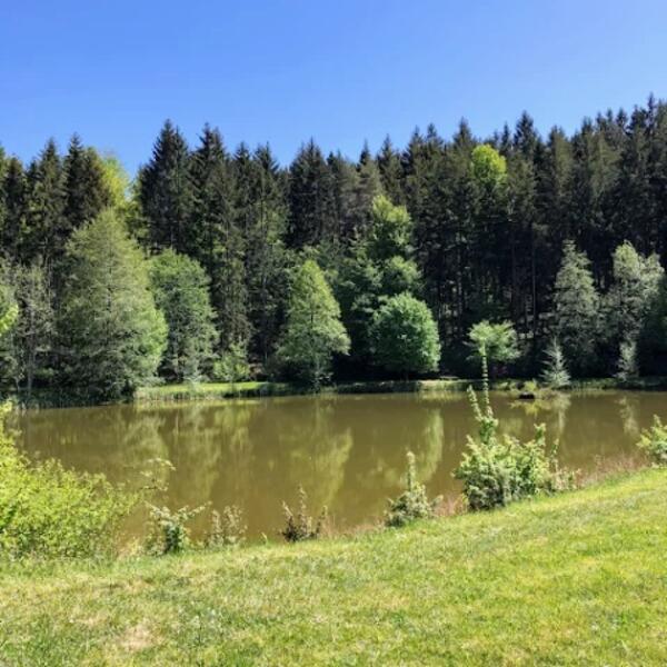 Waldcamping Hüttenhof