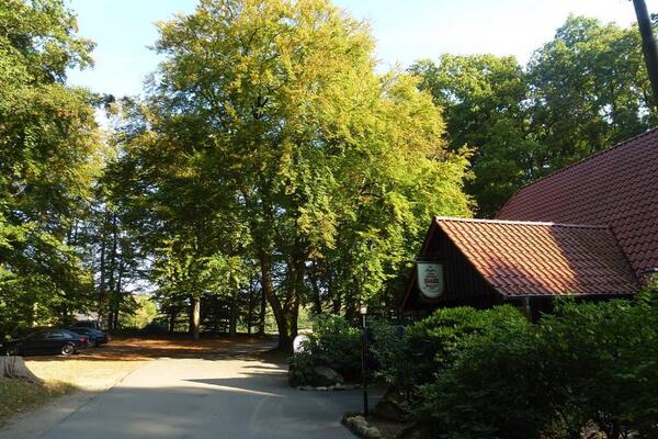 Campingplatz Aschenbeck