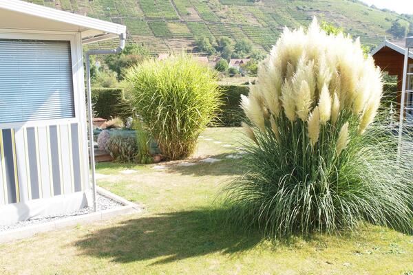 Campingplatz Mainruh