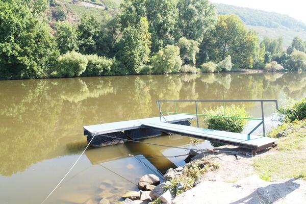 Campingplatz Mainruh