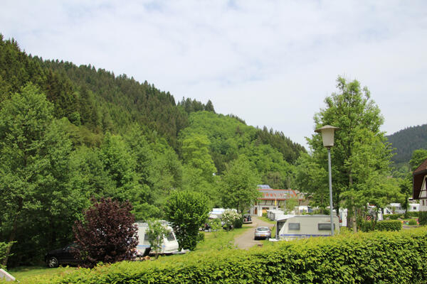 Schwarzwaldcamping Alisehof