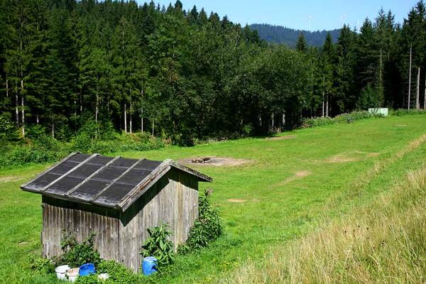 Schwarzwaldcamping Alisehof