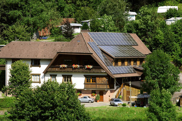 Schwarzwaldcamping Alisehof
