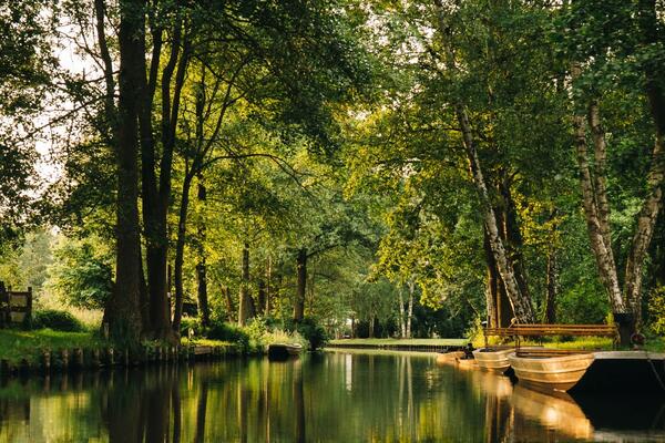 Spreewald-Natur-Camping "Am Schlosspark"