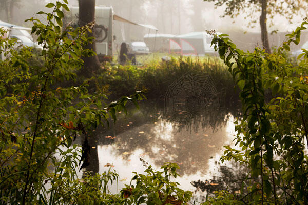Spreewald-Natur-Camping "Am Schlosspark"