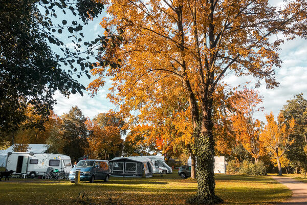 Camping am See