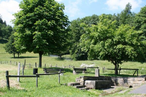 Campingplatz Birkenhain