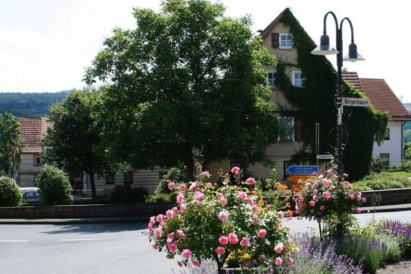 Campingplatz Birkenhain