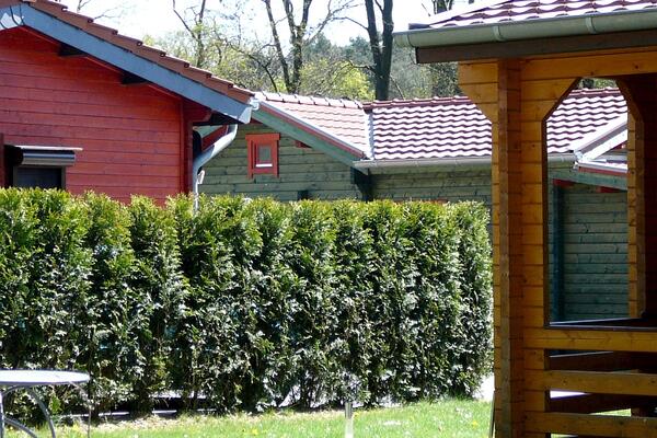Camping & Freizeitplatz Brachter Wald