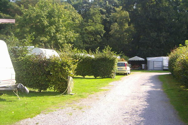 Ferienpark Waldfrieden