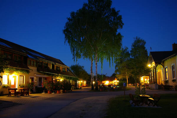 Terrassen Campingplatz Traisen