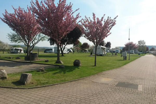 Mosel-Camping Dreiländereck