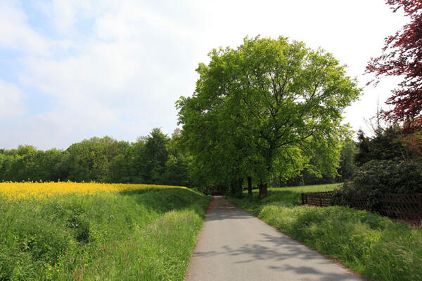 Campingplatz Elisabeth-See