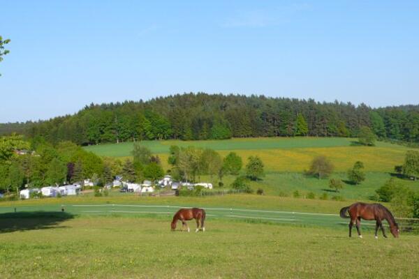 Camping Park Hammelbach
