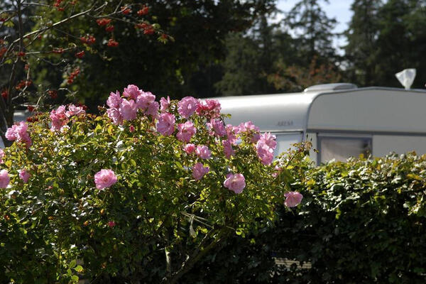 Campingplatz Heidkoppel