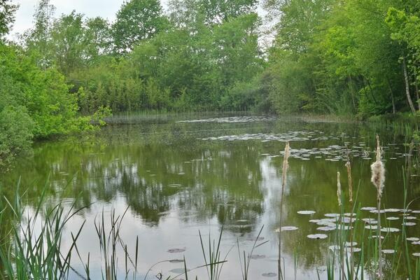Campingpark Hof Freitag - Geestequelle