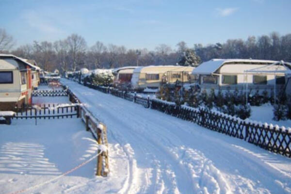 Campingplatz Losheide