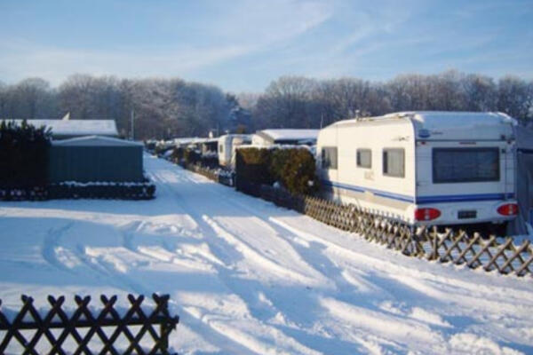 Campingplatz Losheide