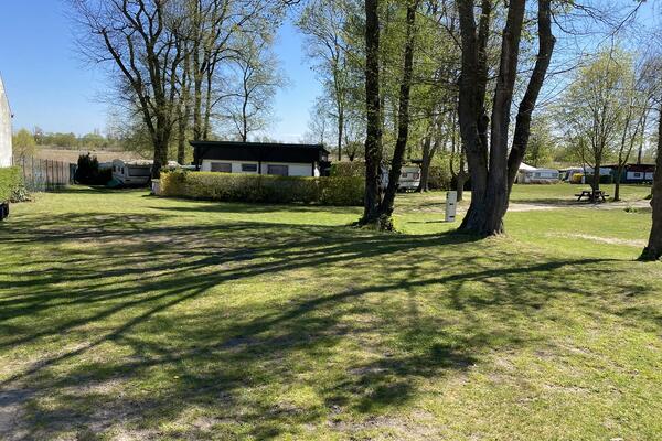 Campingplatz am Oderstrom
