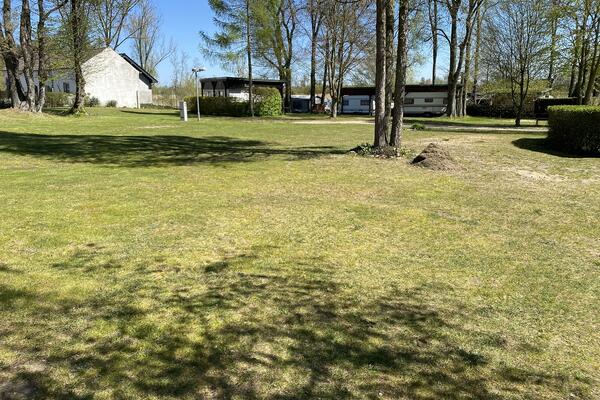 Campingplatz am Oderstrom