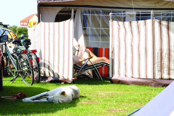 Campingplatz Silbermöwe