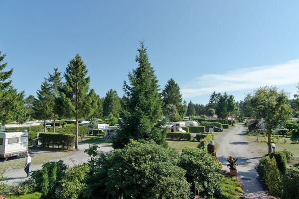 Campingplatz "Auf dem Simpel"