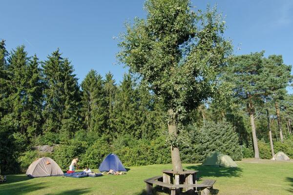 Campingplatz "Auf dem Simpel"