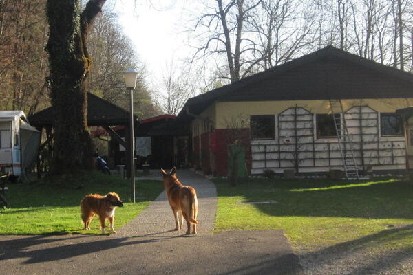 Campingplatz Staufeneck