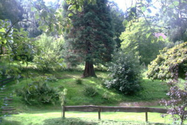 Campingplatz Wappenschmiede
