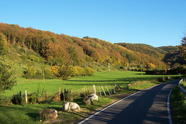 Camping Wiedhof