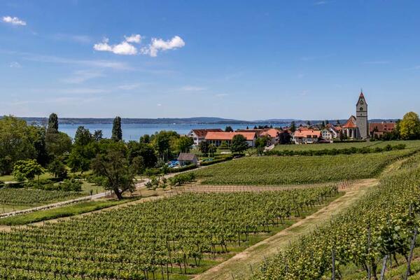 Campingplatz Alpenblick