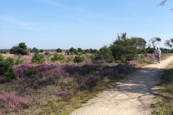 Camping de Peel 