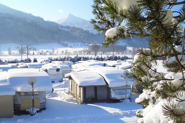 Forellencamp