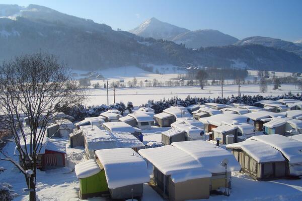 Forellencamp