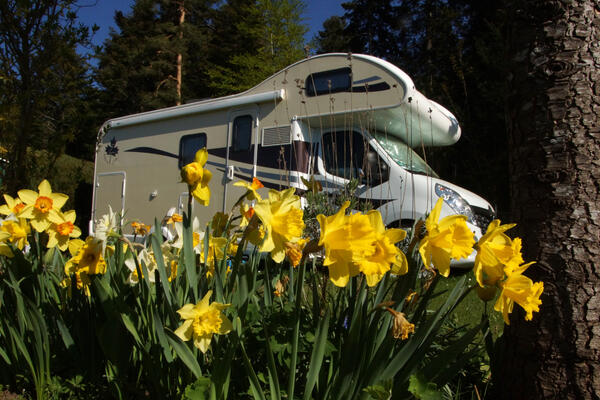 HÖHEN-CAMPING LANGENBRAND