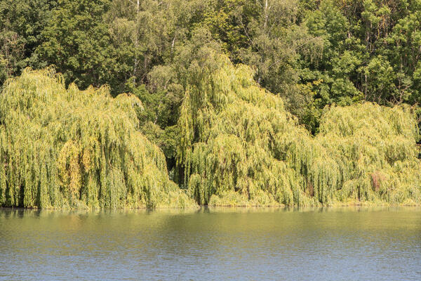 Camping am See