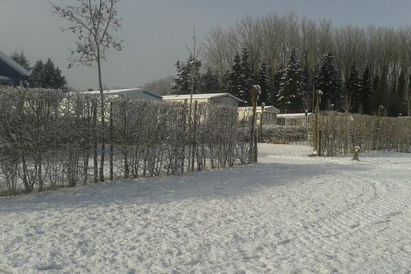 Camping Ypra
