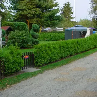 Campingplatz Waßmann