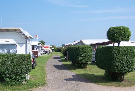 Campingplatz Behnke