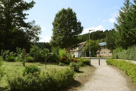 Campingplatz Büttelwoog