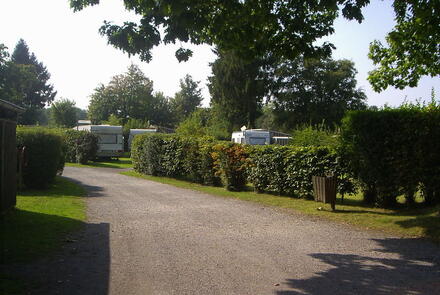 Ferienpark Waldfrieden