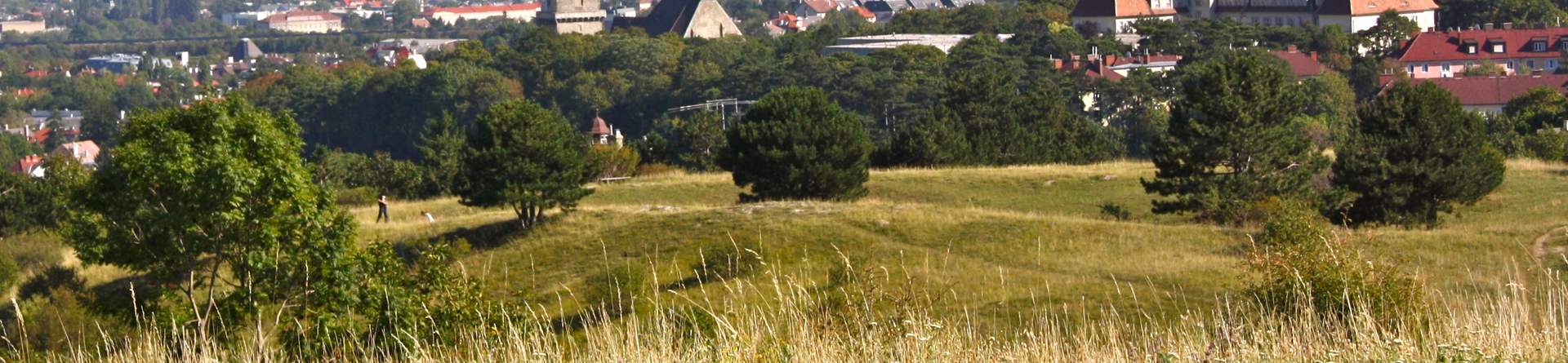 Leithagebirge