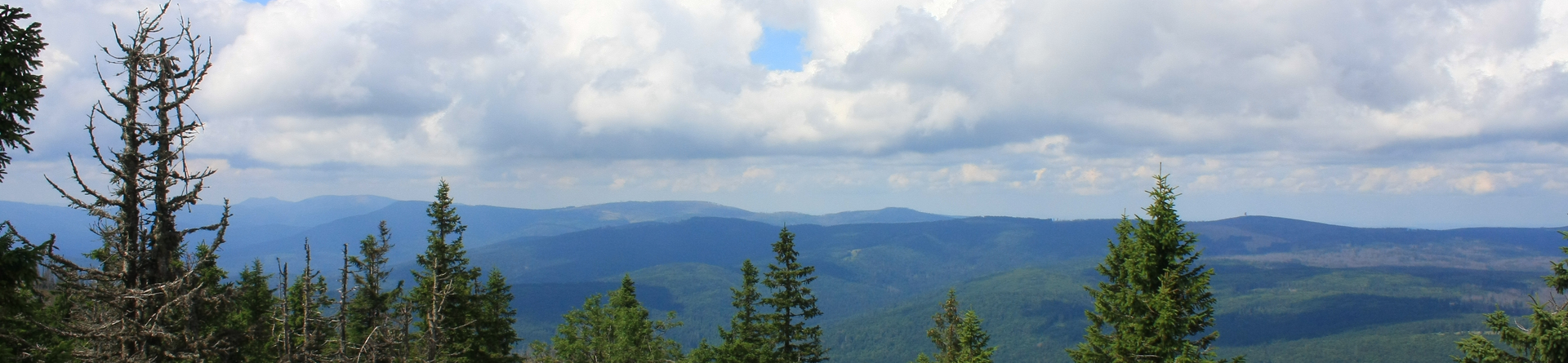 Nationalpark Bayerischer Wald