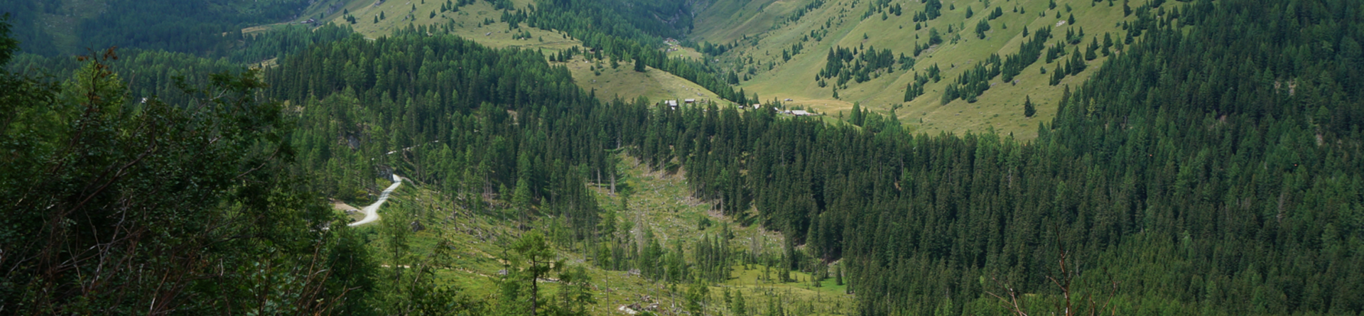 Nationalpark Hohe Tauern