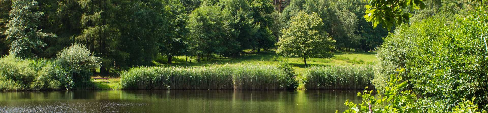 Naturpark Pfälzer Wald