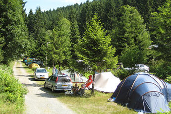 Waldcamping Polstertal