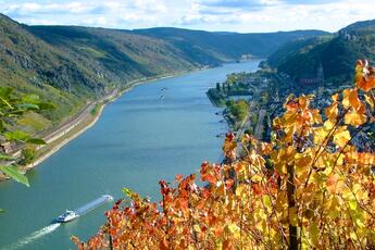 Campingplatz Schönburgblick