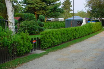 Campingplatz Waßmann