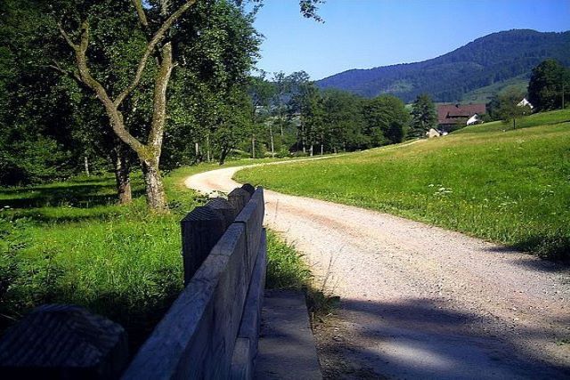 Schwarzwald